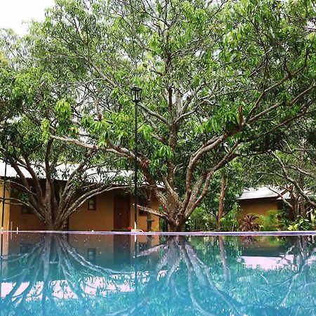 Bissa Villa Habarana Exterior foto
