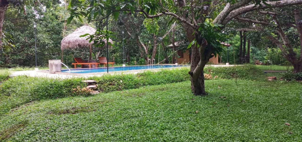 Bissa Villa Habarana Exterior foto