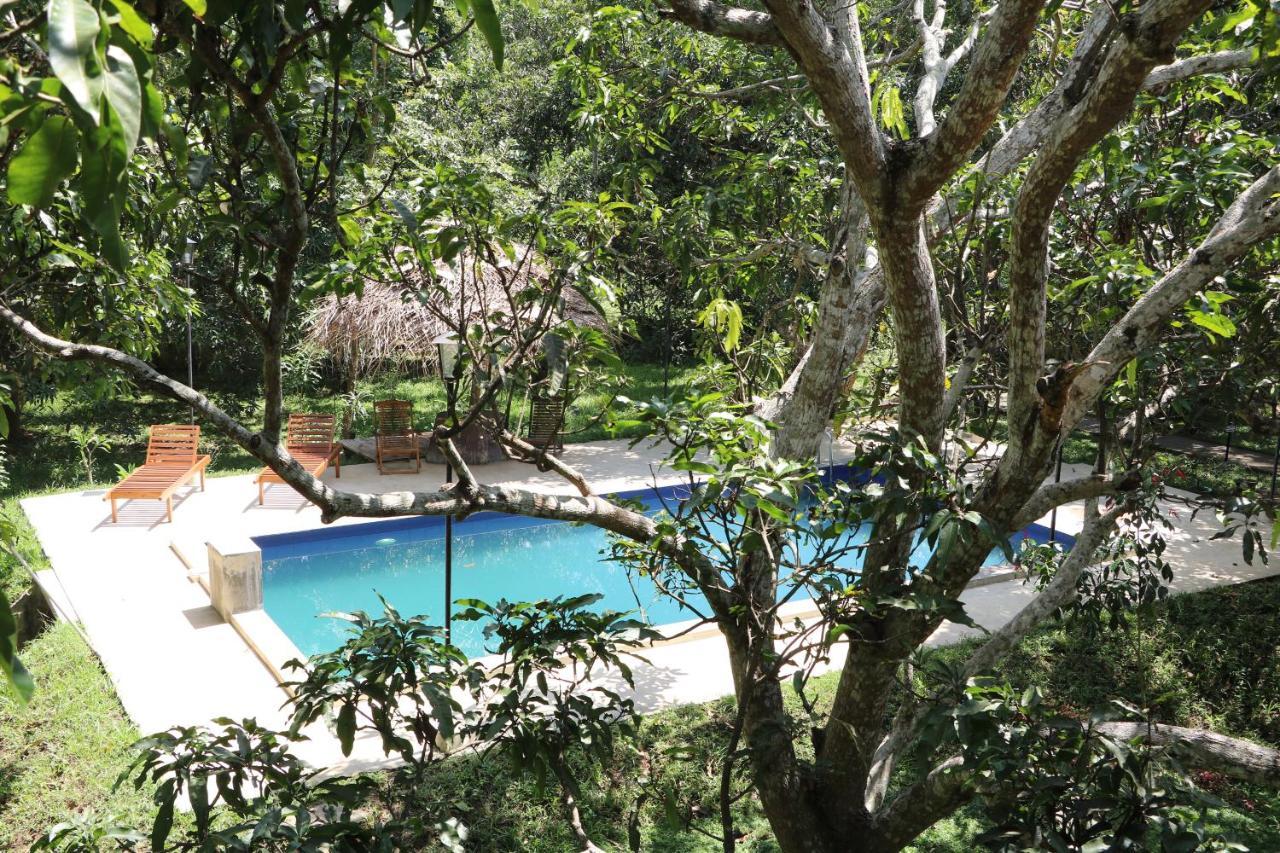Bissa Villa Habarana Exterior foto