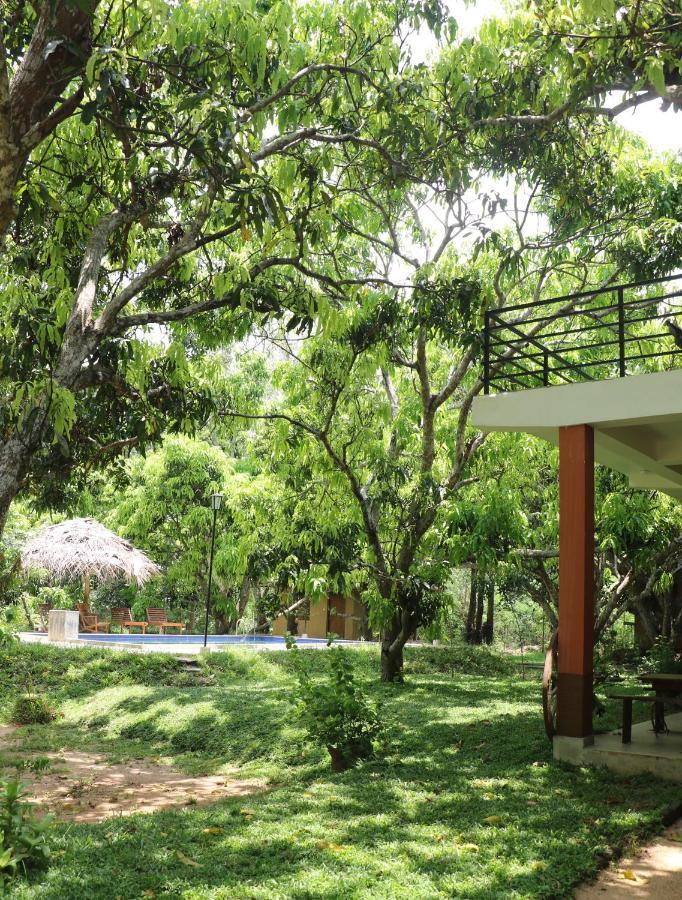 Bissa Villa Habarana Exterior foto