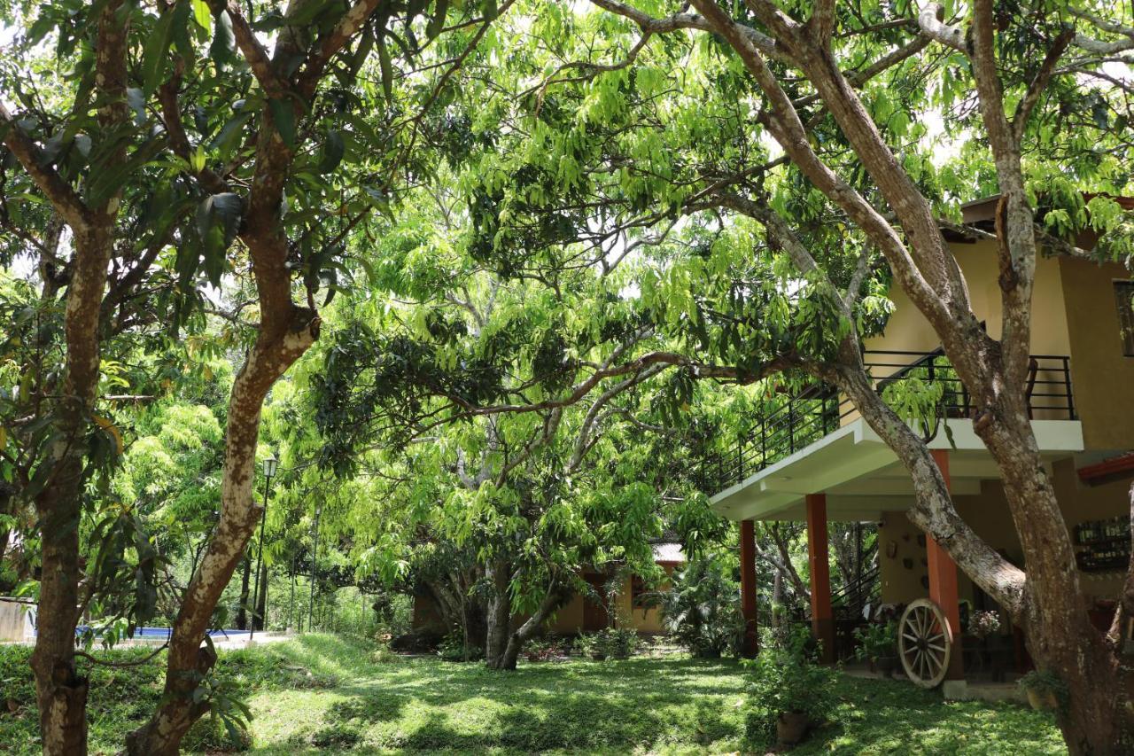 Bissa Villa Habarana Exterior foto