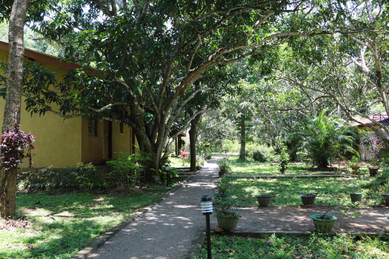 Bissa Villa Habarana Exterior foto