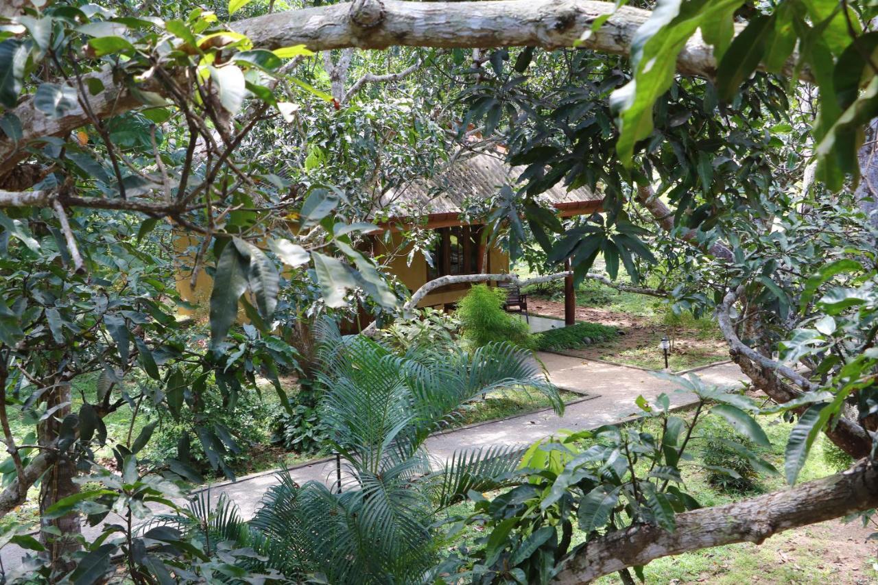 Bissa Villa Habarana Exterior foto
