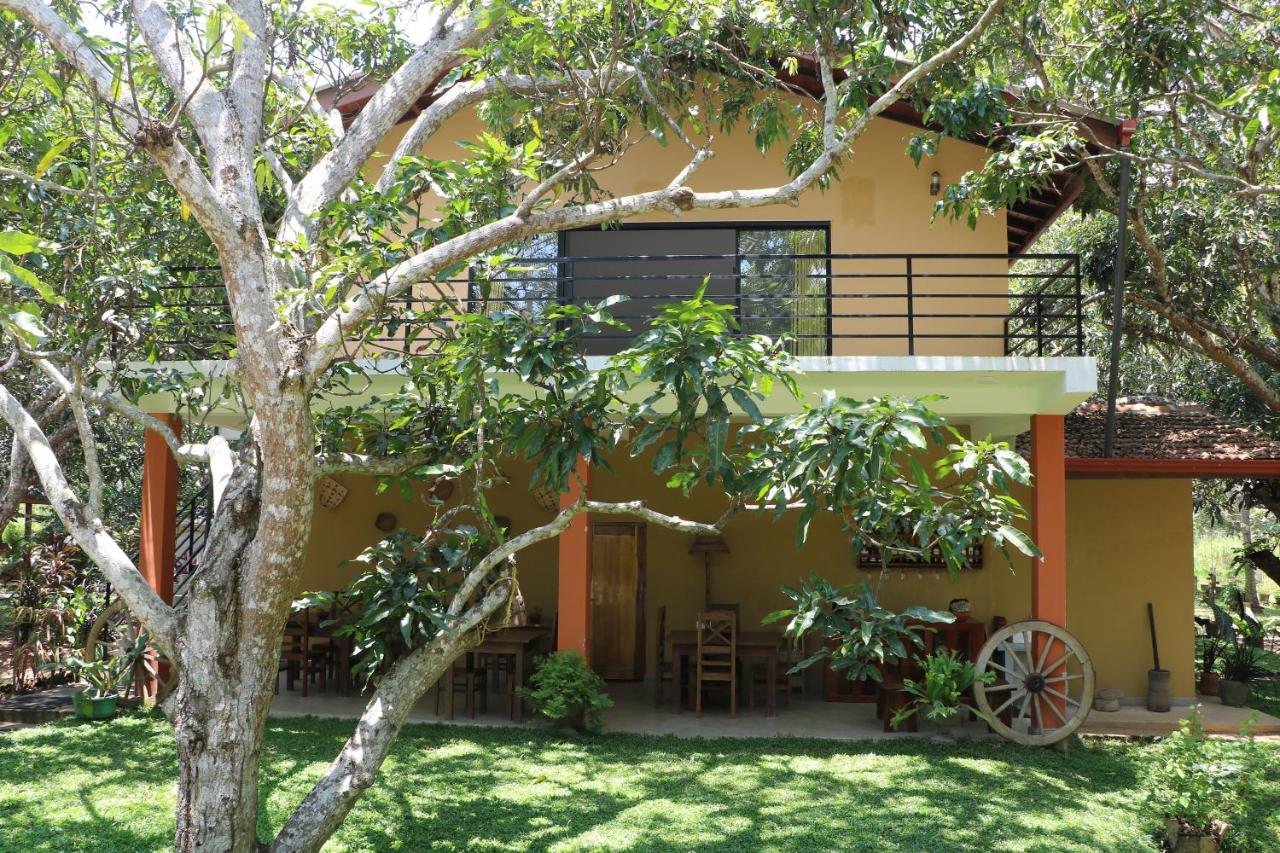 Bissa Villa Habarana Exterior foto
