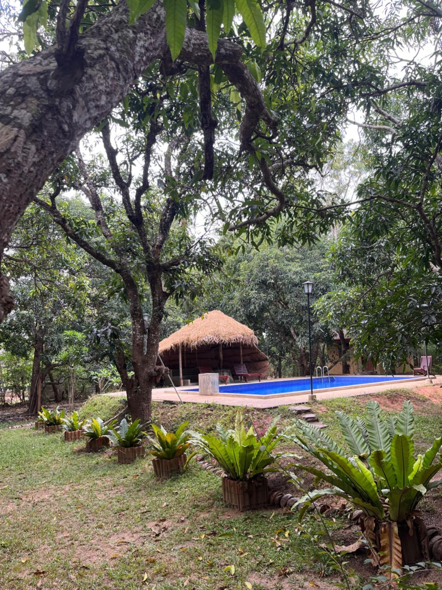 Bissa Villa Habarana Exterior foto