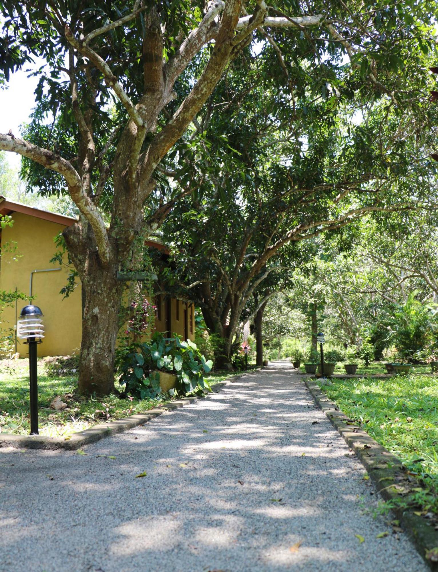 Bissa Villa Habarana Exterior foto