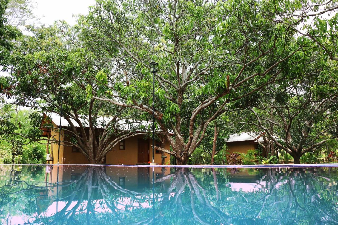 Bissa Villa Habarana Exterior foto